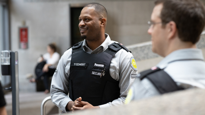 Security Professional